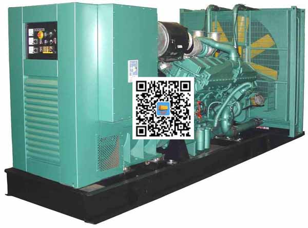 蒙自笼型异步发电机的电力电子控制技术